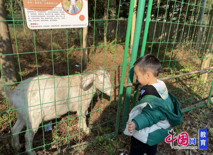 让亲情升温于大自然的舞台 弘德苑森林幼儿园举行这场“游戏节”(图3)