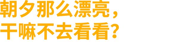 2024微微存活(图3)