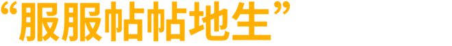 2024微微存活(图17)