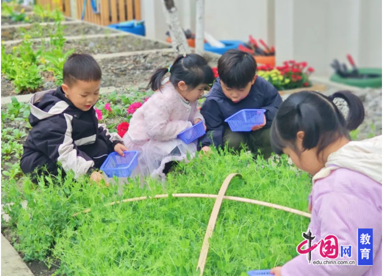 成都市武侯区望江幼儿园：以户外游戏赋能儿童率性生长(图4)