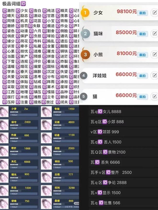 “极品ID”抢注：一场文字奇观的流行(图7)