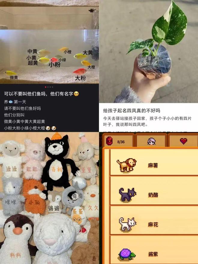 “极品ID”抢注：一场文字奇观的流行(图8)